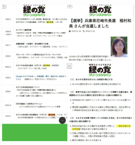 2018年の緑の党の資料