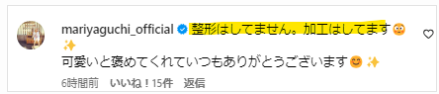 矢口真里の整形していないという発言